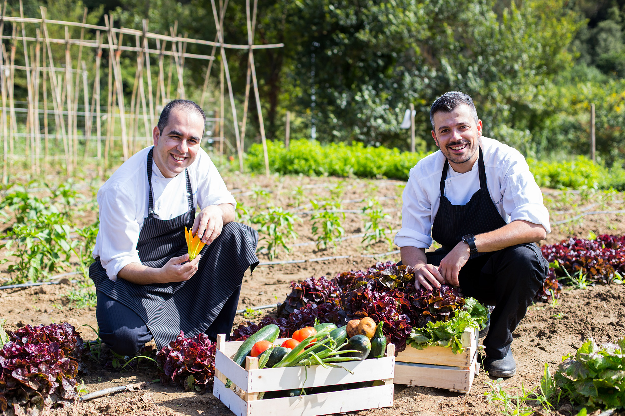 turismo gastronómico españa