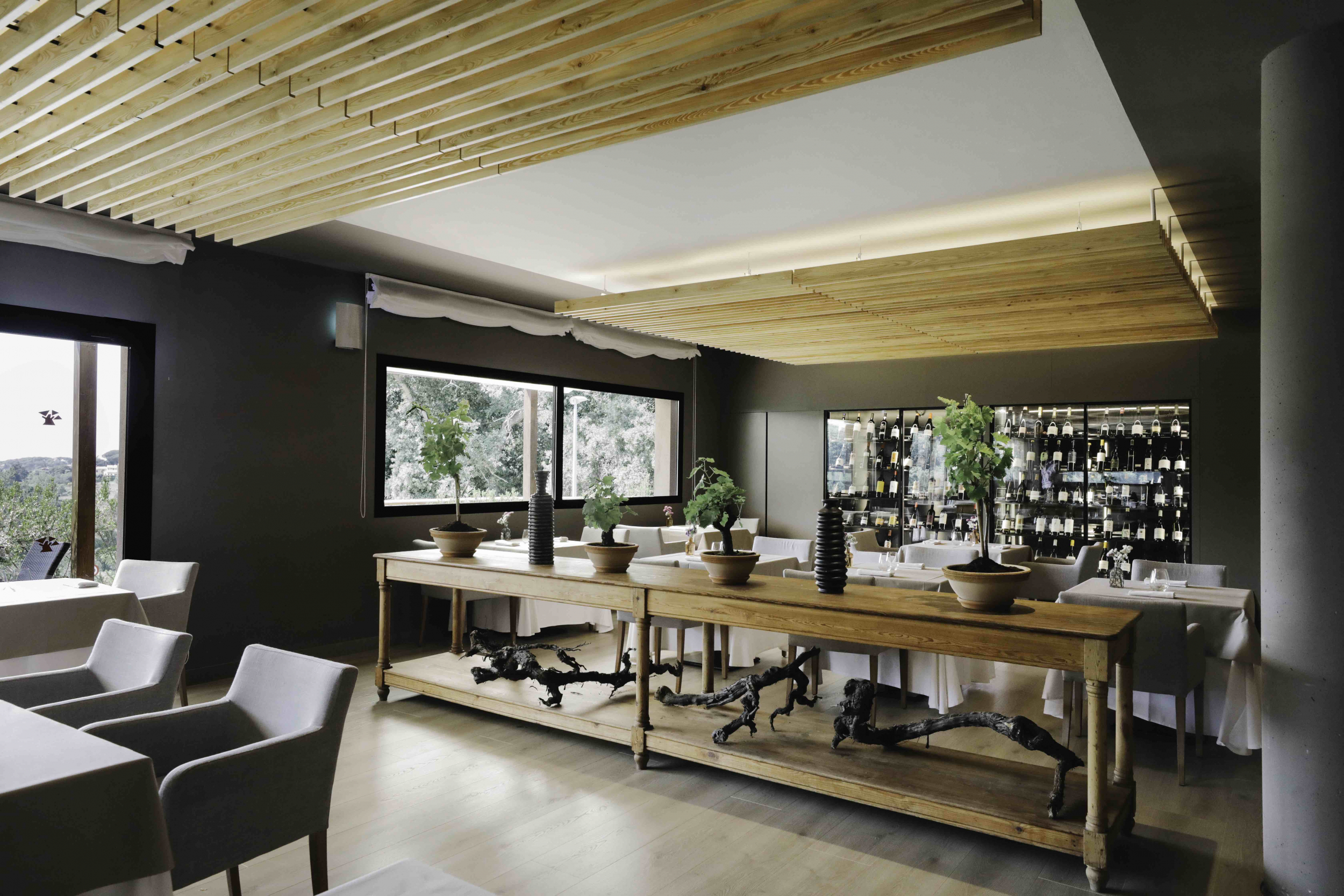 Restaurante 1497 salón
