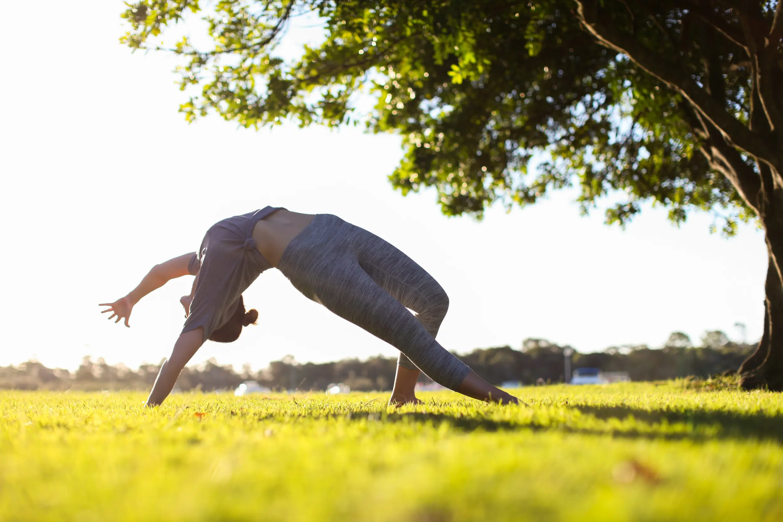 tipos de yoga