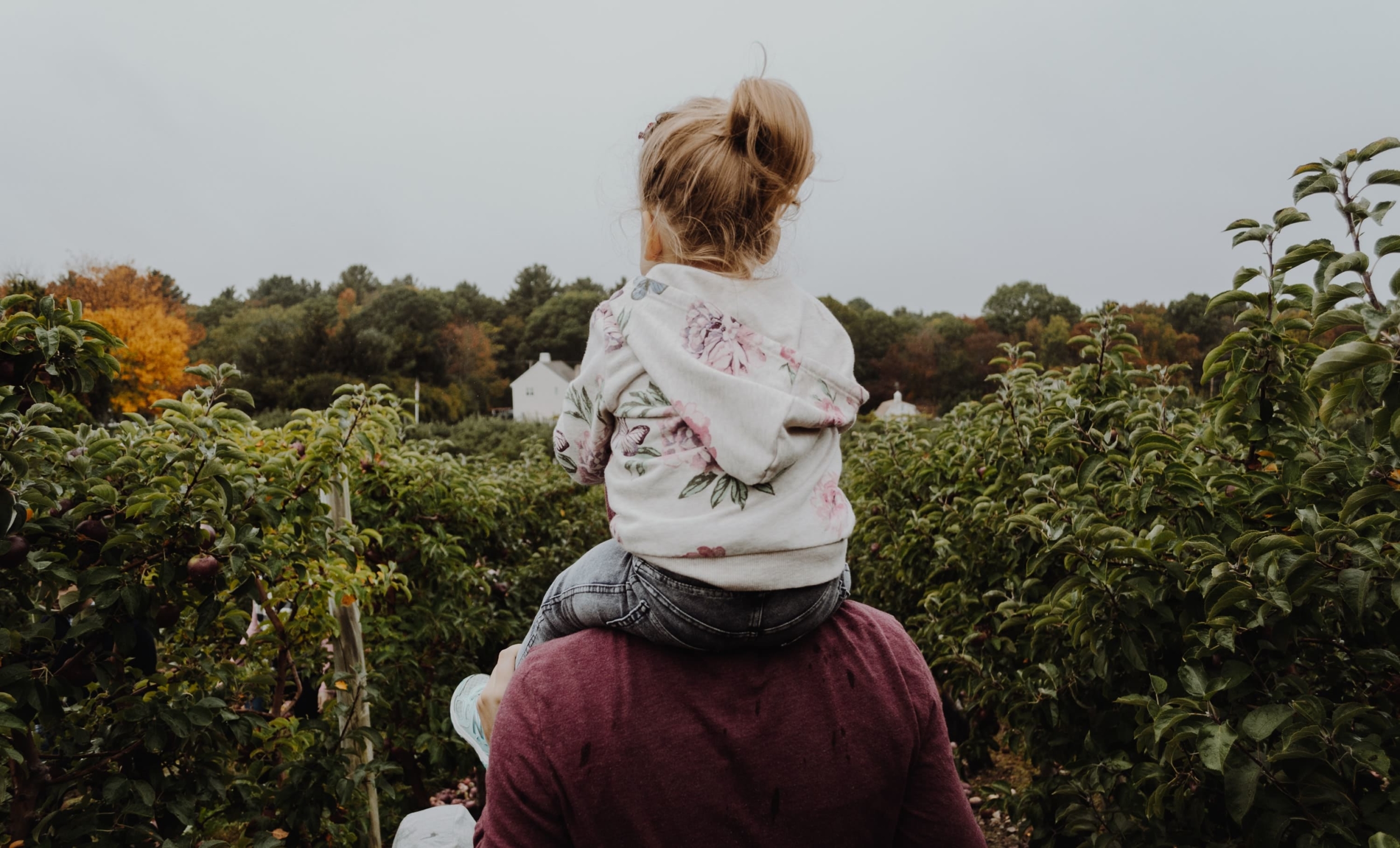 activités père fils