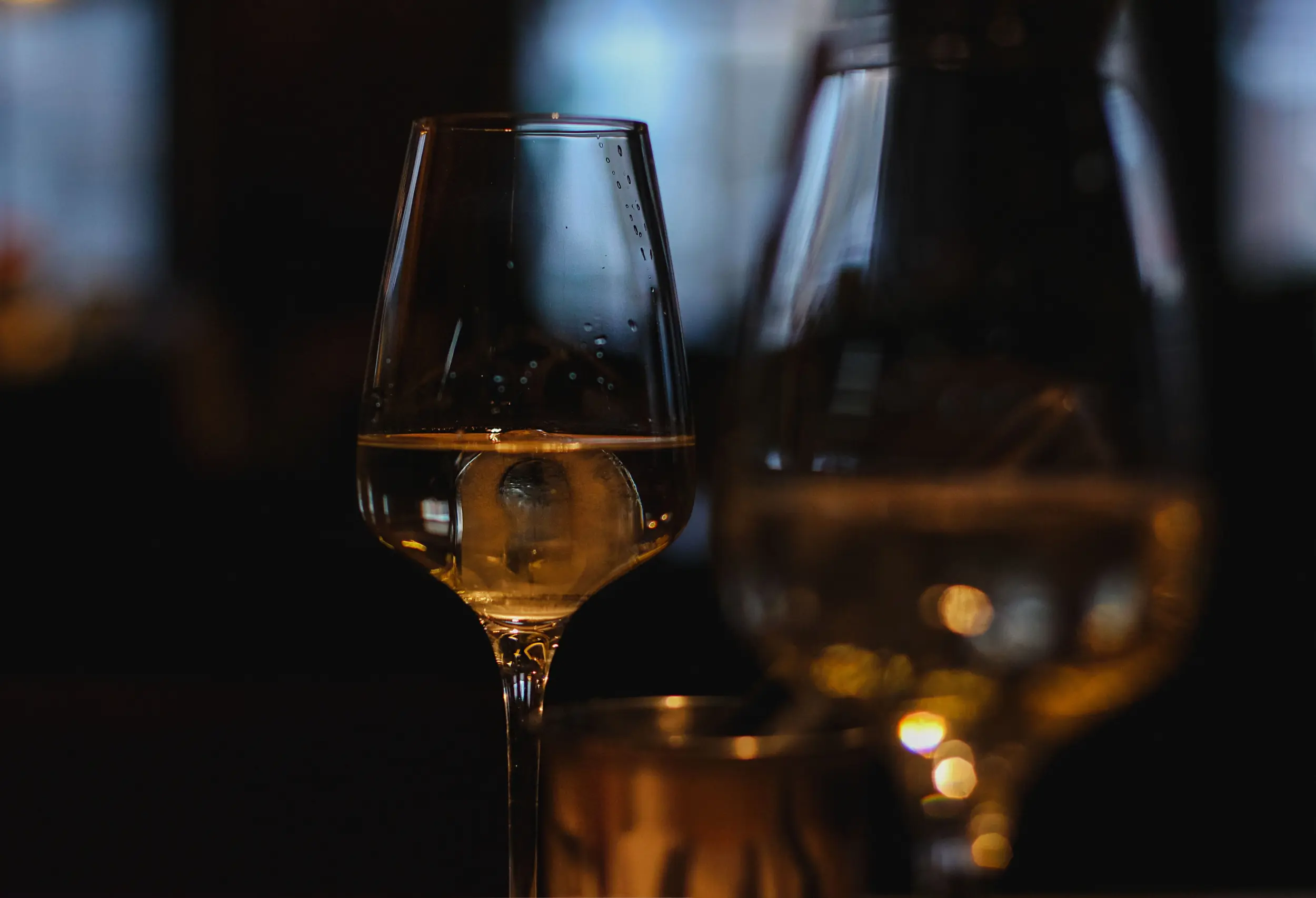vinos gourmet