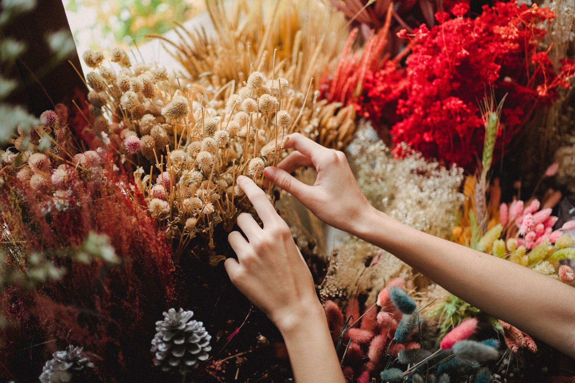 talleres de flores