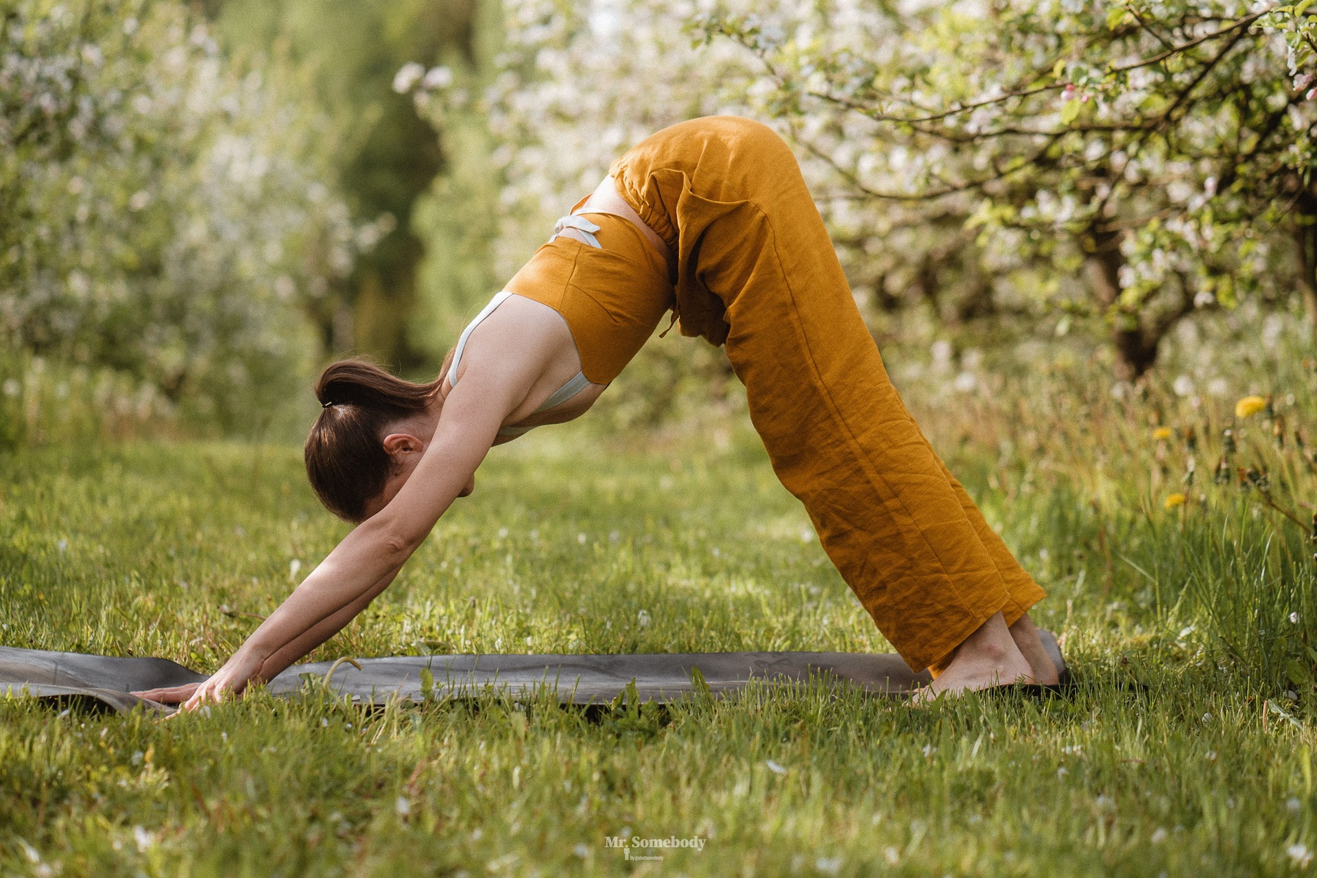 retiro yoga fin de semana