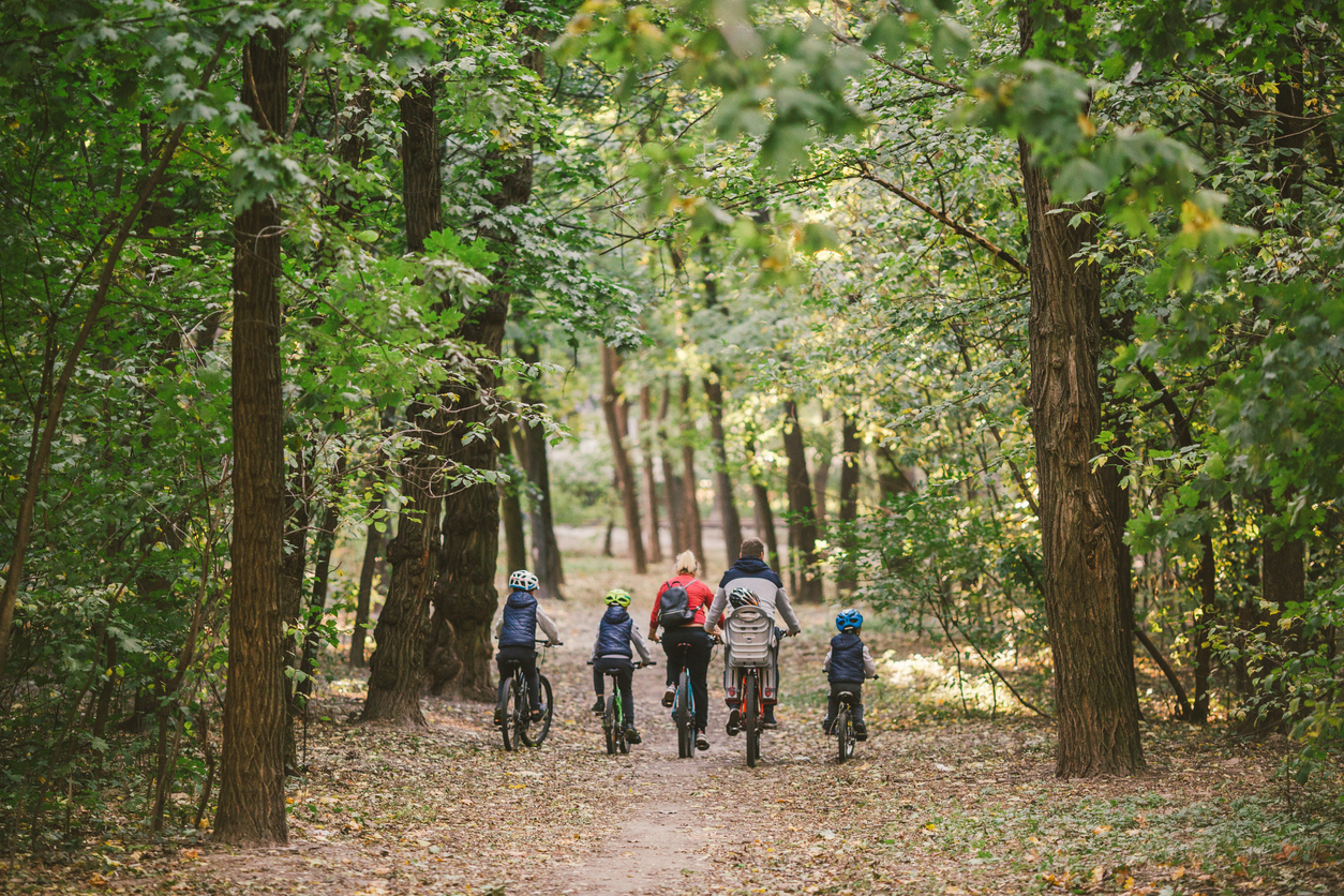 paseos en bicicleta