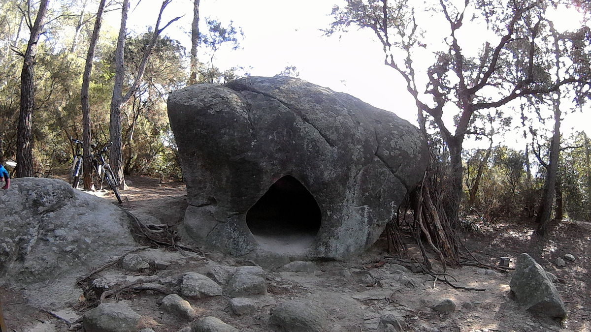 el bosc de ruscalleda