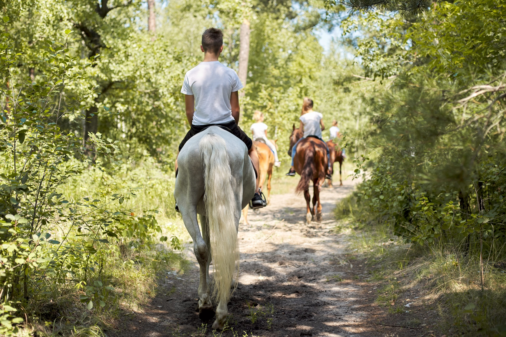 paseo-con-caballos