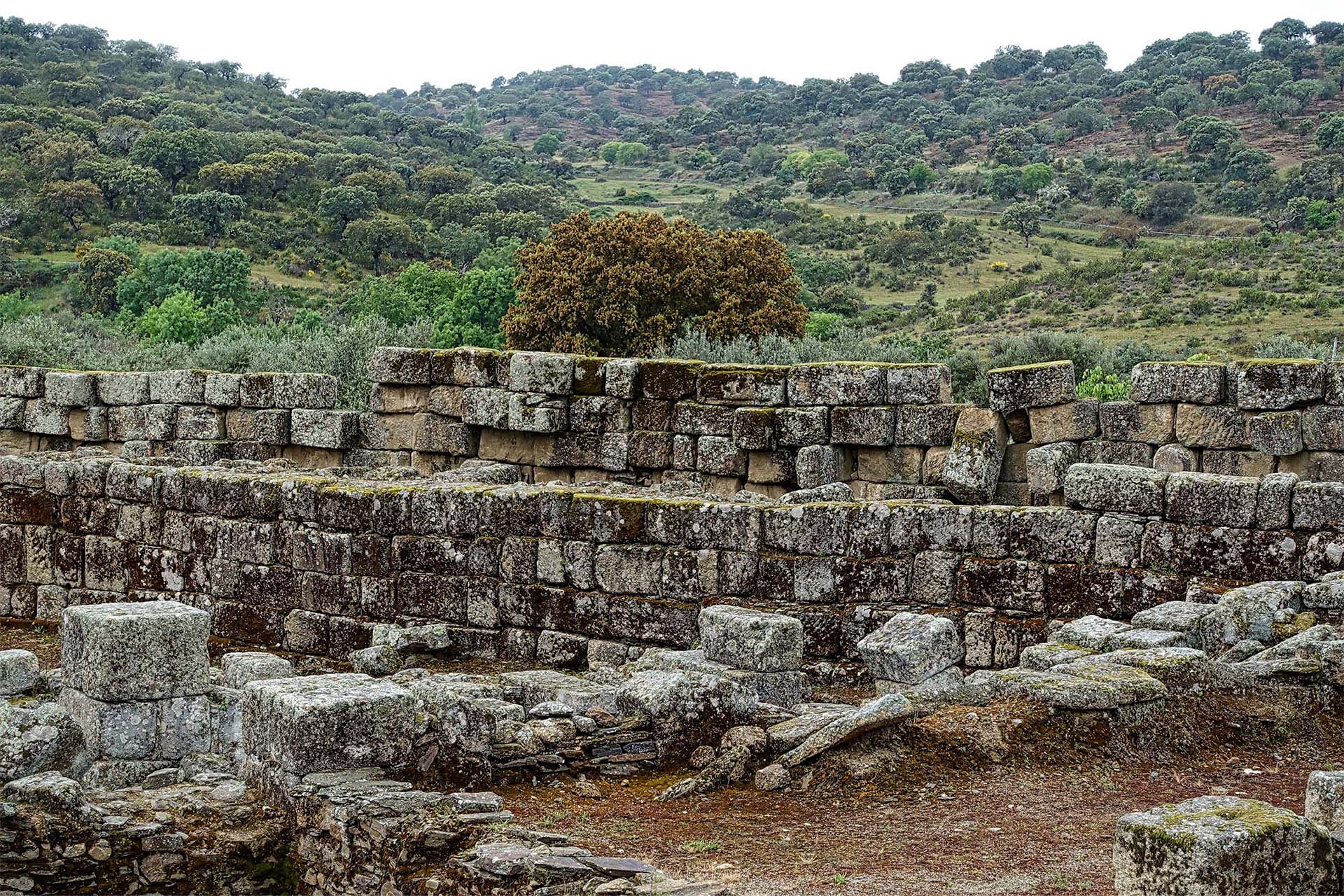 bosque encantado de orrius