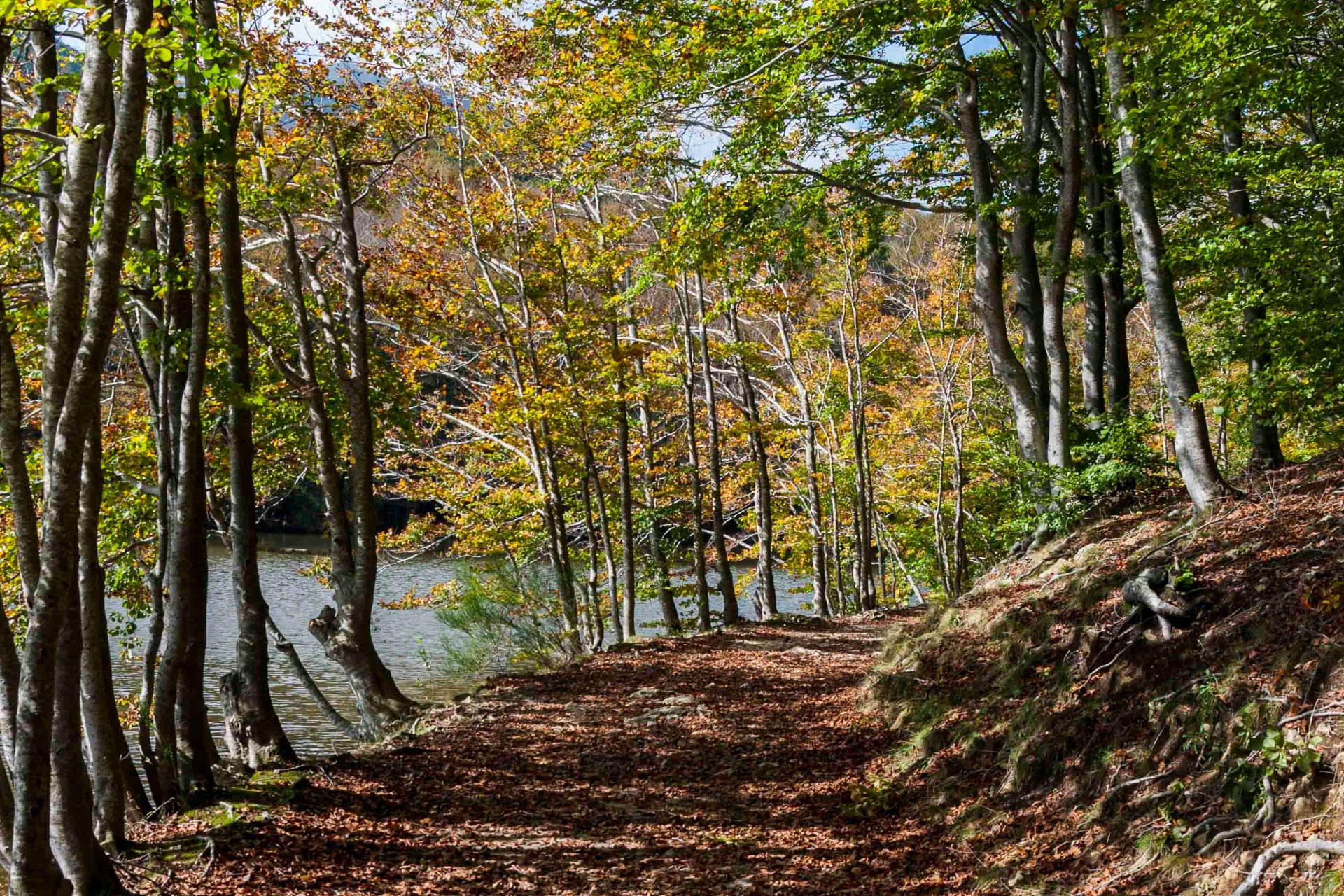 montseny barcelona